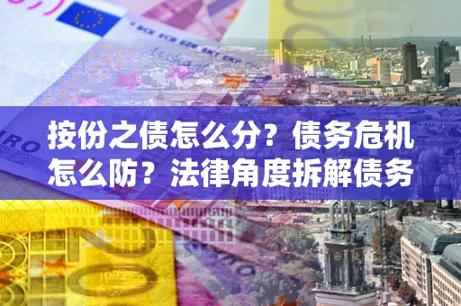 武汉按份之债怎么分？债务危机怎么防？法律角度拆解债务分配与风险自保指南