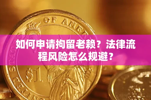 武汉如何申请拘留老赖？法律流程风险怎么规避？
