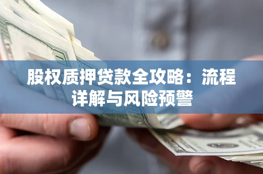 武汉股权质押贷款全攻略：流程详解与风险预警