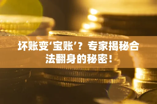 武汉坏账变‘宝账’？专家揭秘合法翻身的秘密！