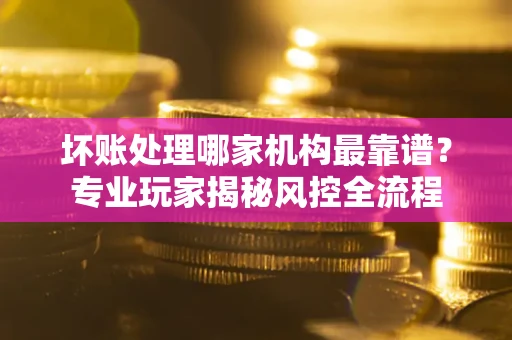 武汉坏账处理哪家机构最靠谱？专业玩家揭秘风控全流程