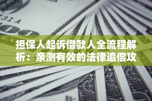 武汉担保人起诉借款人全流程解析：亲测有效的法律追偿攻略