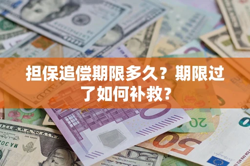 武汉担保追偿期限多久？期限过了如何补救？