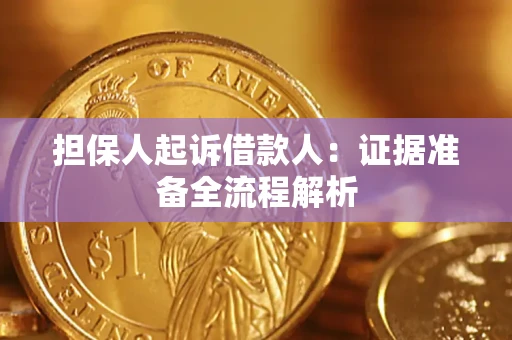 武汉担保人起诉借款人：证据准备全流程解析