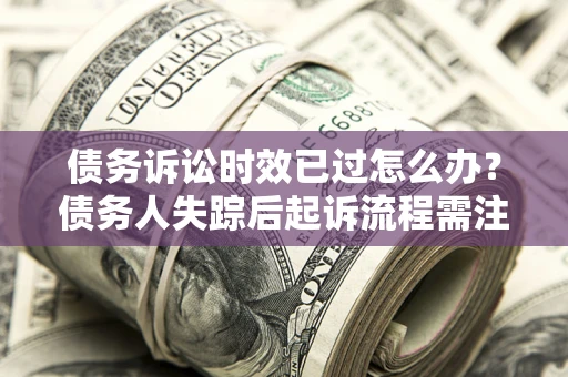 武汉债务诉讼时效已过怎么办？债务人失踪后起诉流程需注意什么？