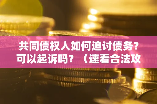 武汉共同债权人如何追讨债务？可以起诉吗？（速看合法攻略）