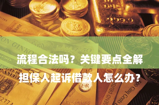 武汉

担保人起诉借款人怎么办？流程合法吗？关键要点全解析