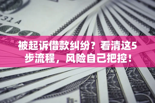 武汉被起诉借款纠纷？看清这5步流程，风险自己把控！