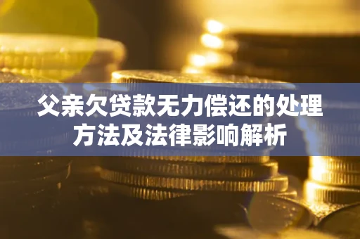 武汉父亲欠贷款无力偿还的处理方法及法律影响解析