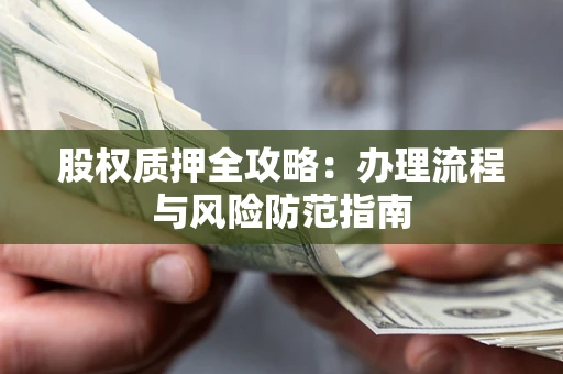 武汉股权质押全攻略：办理流程与风险防范指南