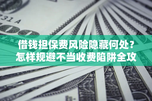 武汉借钱担保费风险隐藏何处？怎样规避不当收费陷阱全攻略！