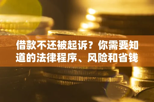 武汉借款不还被起诉？你需要知道的法律程序、风险和省钱技巧