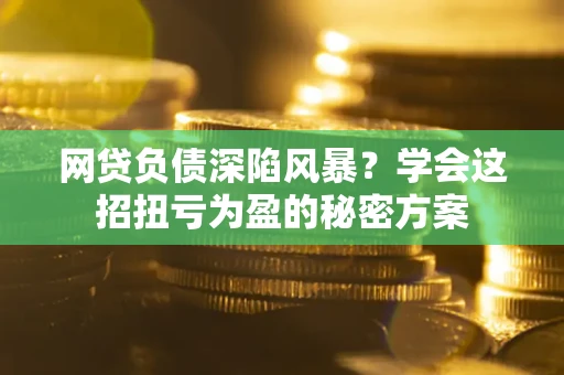 武汉网贷负债深陷风暴？学会这招扭亏为盈的秘密方案