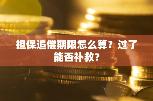 武汉担保追偿期限怎么算？过了能否补救？